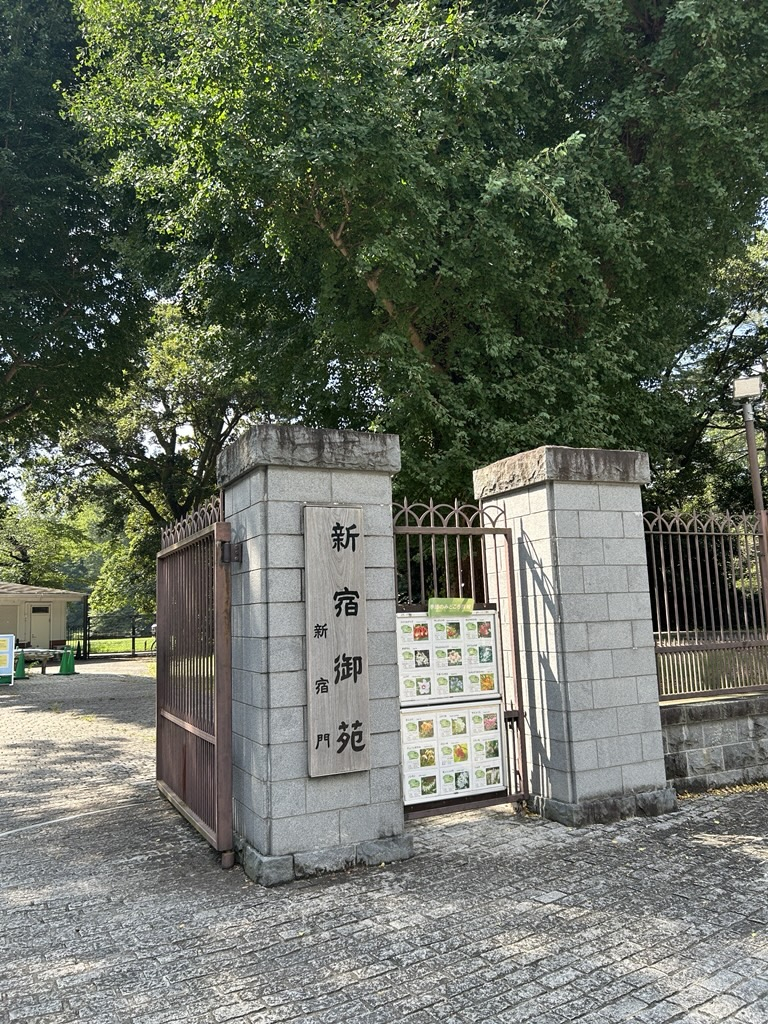 Image (6)